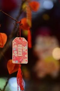 tiến lên di động Debet